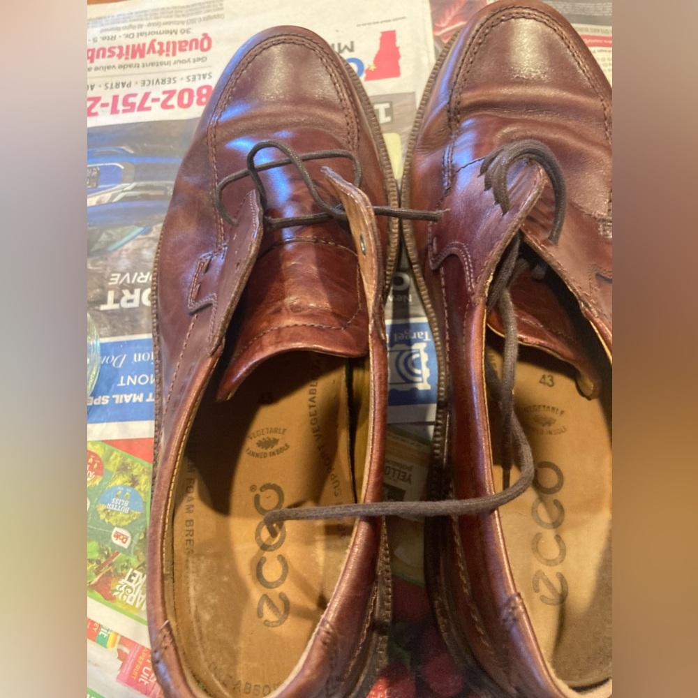 Size 9.5 size 43 ECCO